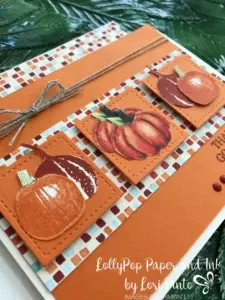 Stampinup!, Gourd Goodness Stamp Set, Painted Autumn DSP, #tttc019 by Lori Pinto1